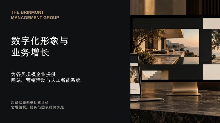 Cover of the Brinmont Simplified Chinese presentation